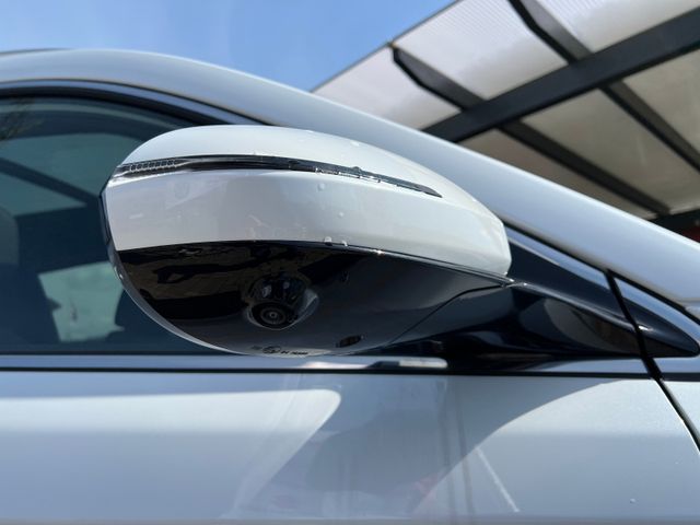 DFSK Fengon 7 AT 7-Sitzer-Allrad-Navi-Panorama 2.5to