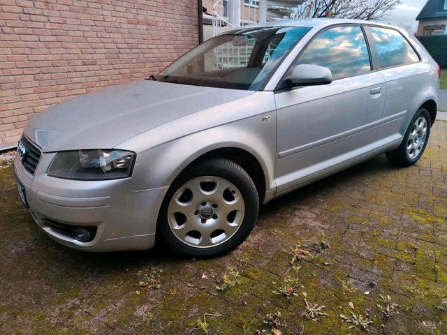 Audi A3 8p 1,6 Benziner Baujahr 2003