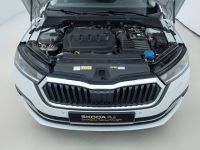 Skoda Octavia - Vorschau Bild 20