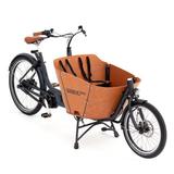 Babboe Mini Mountain - Babboe E-Bikes