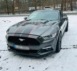 Ford Mustang 2017 2.3 Ecoboost - Ford Mustang: For