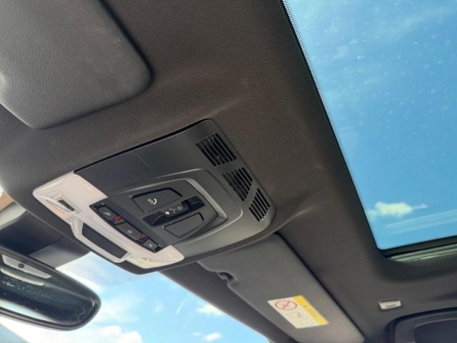 BMW X2 M35 i xDrive / Parklenkassistent/CarPlay/Keyl, миниатюра 21