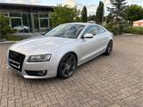 Audi A5 2.7 TDI S-line multitronic - KW Gew. Fahrwerk - Audi A5 mit Diesel-Antrieb: Sportwagen, 2.7