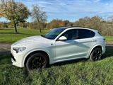 Alfa Romeo Stelvio 2.9 Bi-T. V6 375kW Quadrifoglio AT8-... - Alfa Romeo Stelvio: Quadrifoglio
