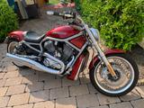 Harley-Davidson V-Rod Custom | 250er Umbau  - CHOPPER 250
