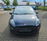 Fiat Punto - Fiat Punto in Frankfurt (Main)