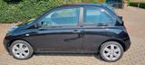 Nissan Micra 3-Türer 1.2 48kW*KLIMA*MOD. 2010 - Nissan Micra: Türer