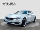 BMW 435 4 Gran Coupe 435 d xDrive Luxury Line LED - BMW 435: Coupe, Gran