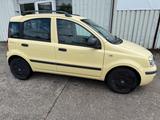 Fiat Panda 1.1 8V Active *Zahnriemen neu*Allwetter* - Fiat Panda aus 2010: Allradantrieb