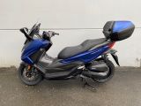 Honda Forza 125 mit Smart Top Case 2025 125er Deals - Angebote entsprechen deinen Suchkriterien