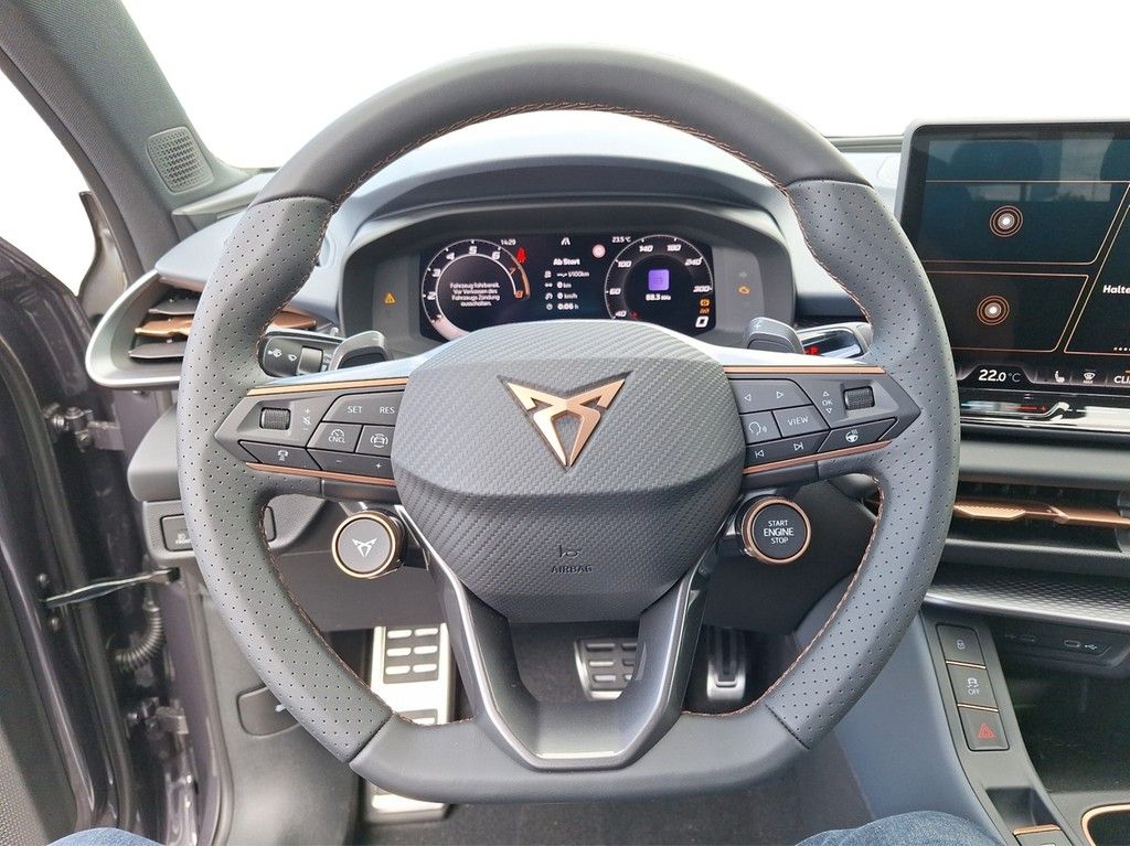 Cupra Terramar - Bild 13