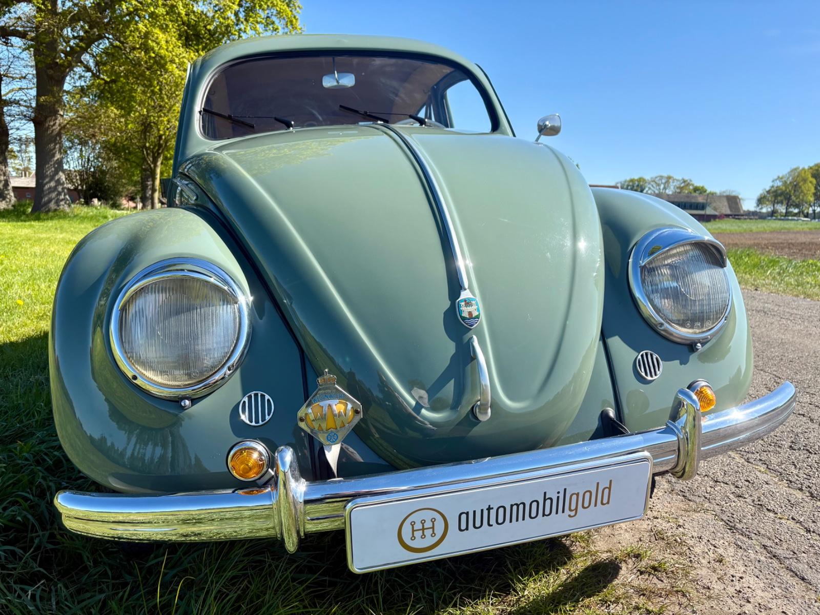 Volkswagen Brezelkäfer, Rheumaklappen, pastellgrün, TRAUM!