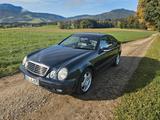 Mercedes-Benz CLK 430 ELEGANCE Elegance - Mercedes-Benz CLK 430: Coupé