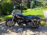 Harley-Davidson Xl 1200R - Offers matching your search criteria