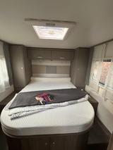 Carado T 459 pro+/FIAT/OHNE Hubbett/AUTOM - Carado T 459