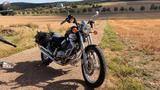Yamaha Virago XV 535 - A2 geeignet - YAMAHA 1997 VIRAGO 535