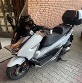 Honda Forza 300 - HONDA FORZA 300