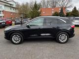 Ford Kuga 2.5 FHEV 4x4 Titanium X B&O ACC Kamera - Ford Kuga: Titanium 4x2