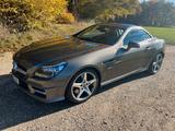 Mercedes-Benz SLK 200 AMG Designo - Mercedes-Benz SLK designo