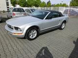 Ford Mustang - Ford Mustang in Wiesbaden
