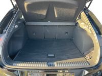 Cupra Terramar - Vorschau Bild 6