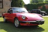 Alfa Romeo Spider - gebrauchte Alfa Romeo Spider aus dem Jahr 1987
