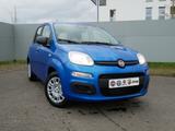 Fiat Panda HYBRID 1.0 GSE 70PS PDC CITY PAKET RADIO 5 - Fiat Panda: 5.5