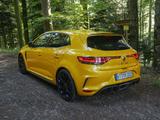Renault Megane TCe 300 EDC GPF R.S. R.S. - Renault: 30