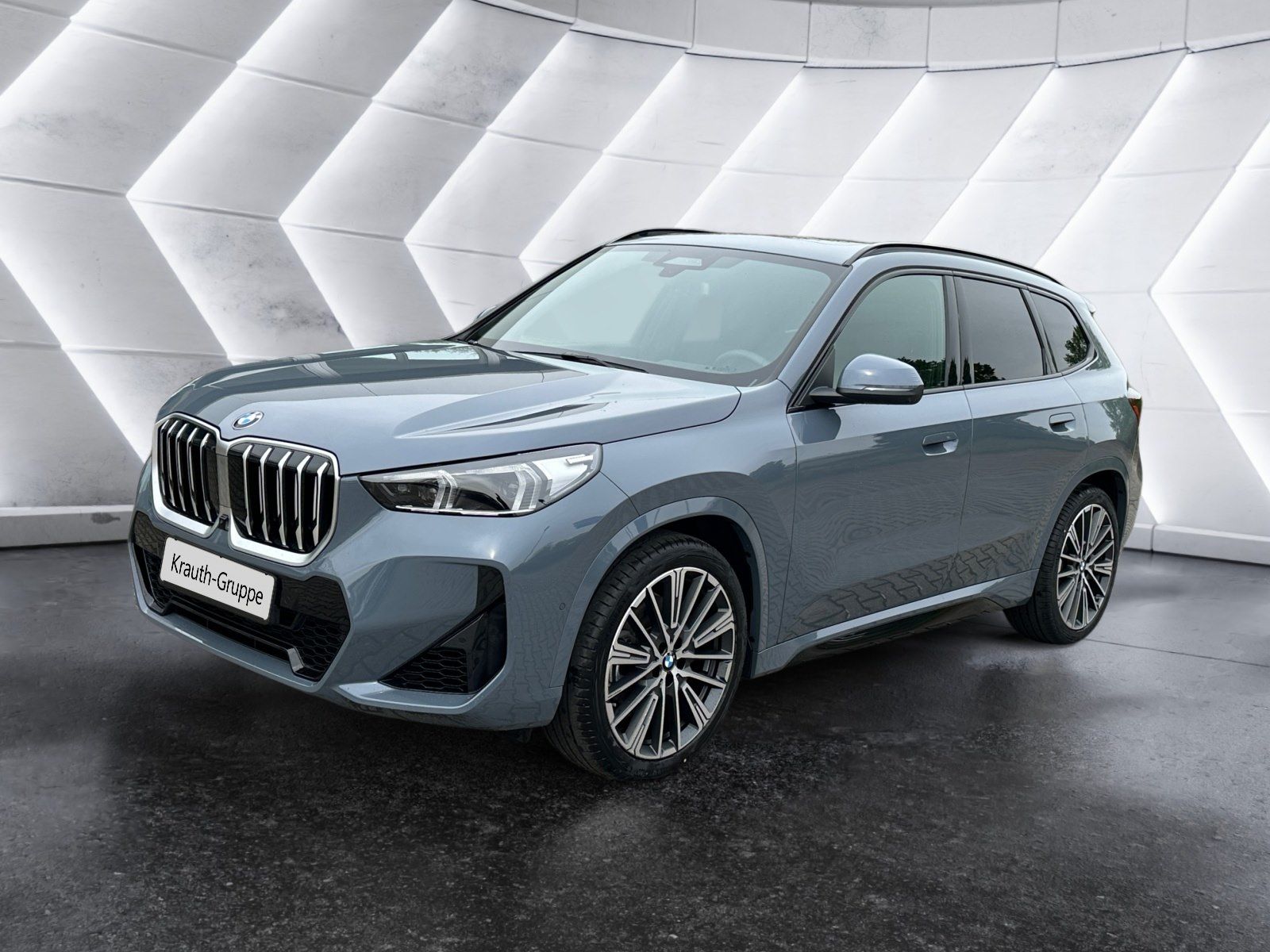 BMW X1 xDrive23i M Sport AHK Pano Driv. AssistPro foto 1