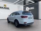 Kia Sorento Vision 2.2 CRDI*AHK*NAVI*7 SITZ*KAM*LED* - Kia Sorento Vision