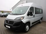 Fiat Ducato 2.3 140 MJT L2H2 / 9-SITZER / ROLLSTUHL - Fiat Ducato: 9