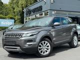 Land Rover Range Rover Evoque Aut. 1 Hand - Leder /// - Land Rover Range Rover Evoque: Automatik