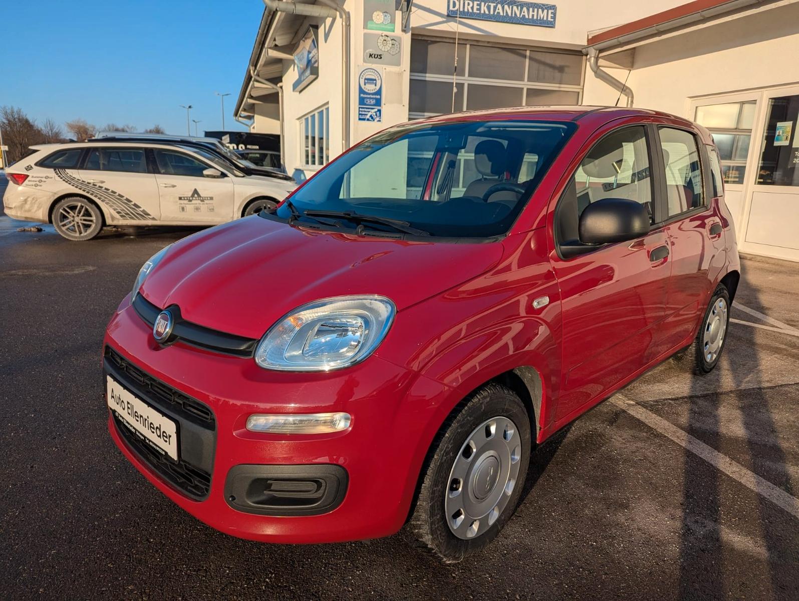 Fiat Panda Pop 1.Hand Wi Räder gepflegt