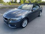 BMW 218 d CABRIO*KLIMA*NAVI*PDC V/H*BI XENON