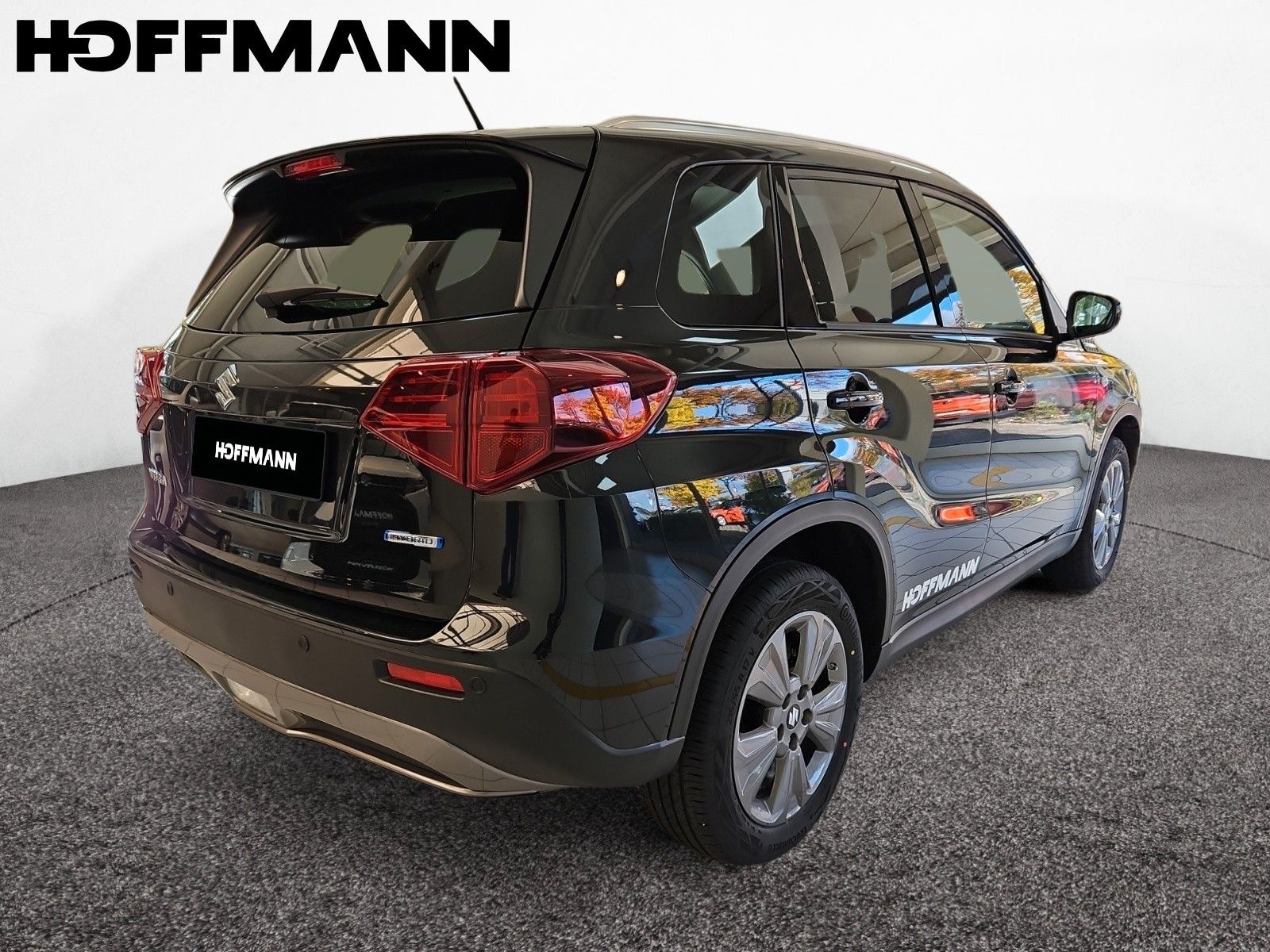 Fahrzeugabbildung Suzuki Vitara