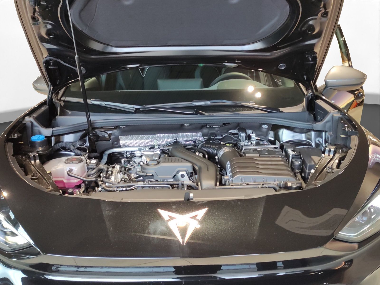 Cupra Terramar - Bild 20