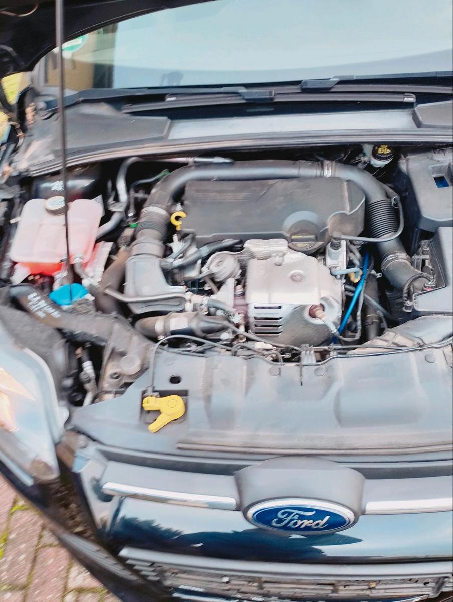 Ford Focus 2013 — photo 5