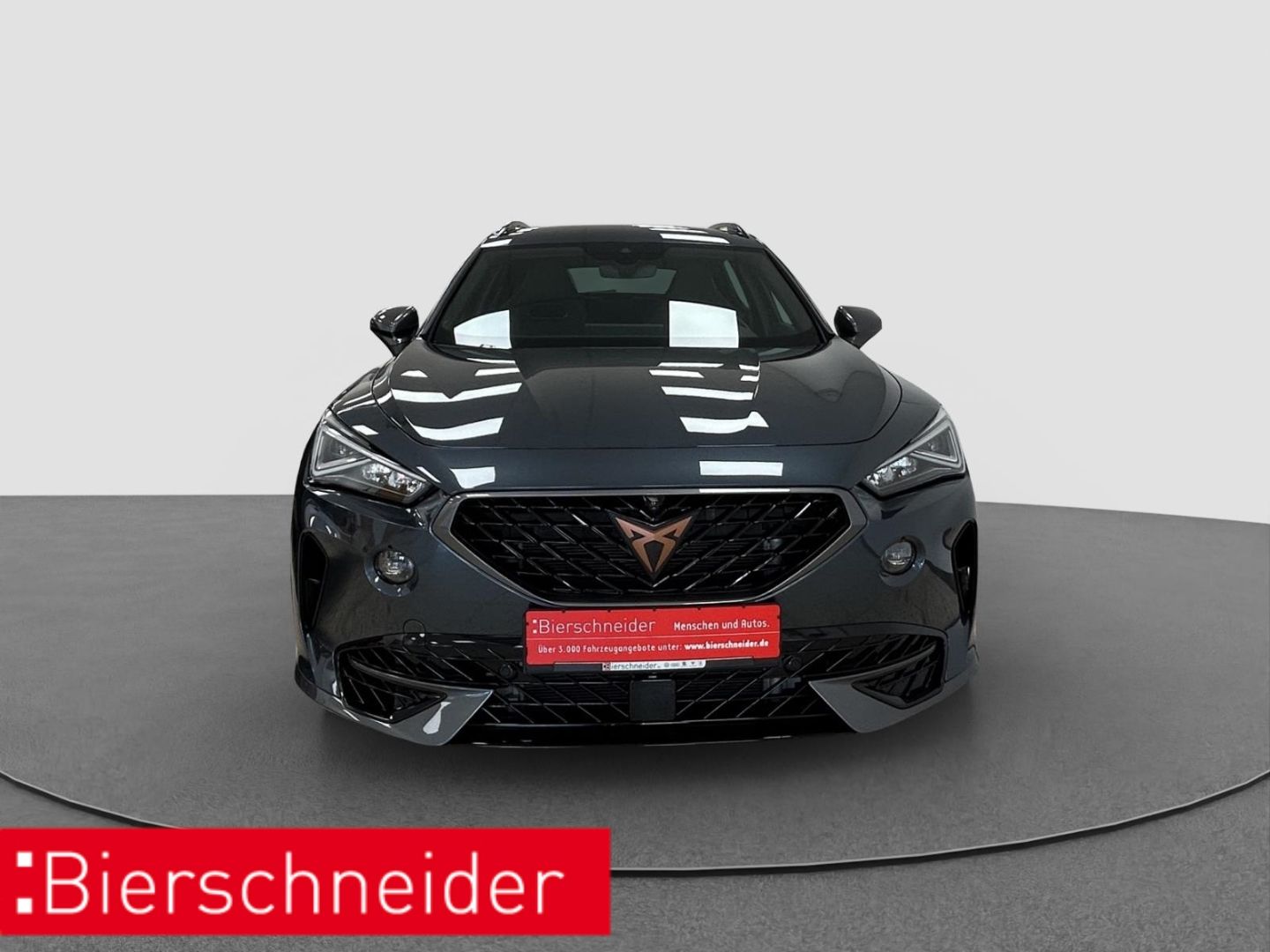 Cupra Formentor 2.0 TSI 4Drive VZ ACC NAVI 360 imagem 2