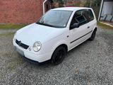 Volkswagen VW Lupo 1.0l mit 50 PS und TÜV neu bei Ver... - Volkswagen Lupo: Ps