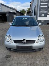 Volkswagen VW Lupo 1.0 Oxford Edition - Volkswagen Lupo: Oxford