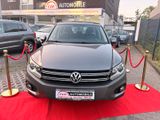 Volkswagen Tiguan Track & Field 4Motion/Automatik/Klima/AHK - Volkswagen Tiguan: Track Field