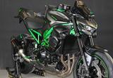 Kawasaki Z900  2025 RSI- Gray-Akrapovic evo2,,HP139,, - Offers