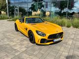 Mercedes-Benz AMG GT R 4.0 V8 R DCT Roadster R - Mercedes-Benz AMG GT R: Cabrio