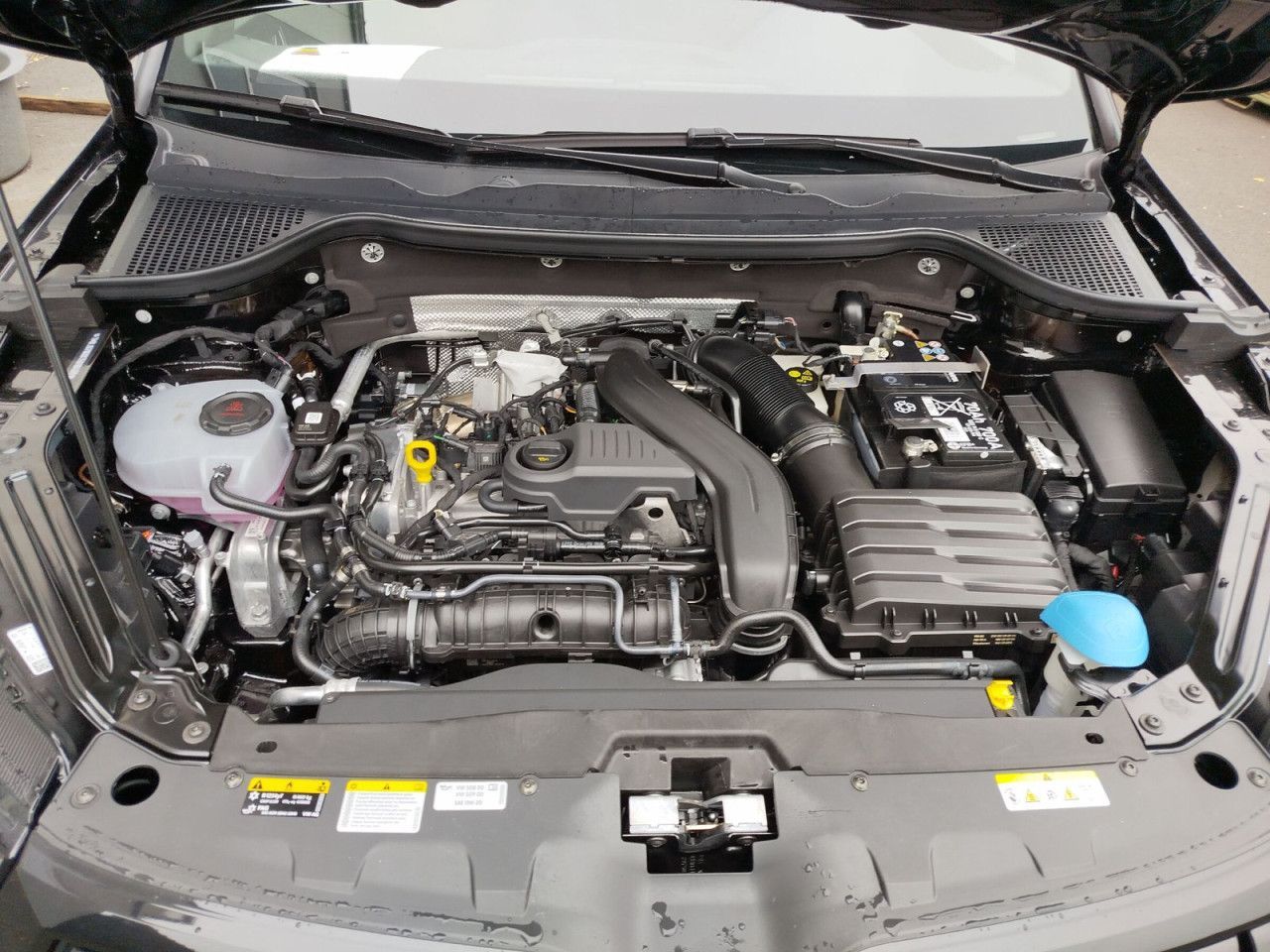 Fahrzeugabbildung SKODA Karoq  1.5 TSI Sportline 110 kw DSG