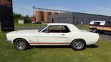 Ford Mustang GT C-Code  Autom, Top Zust. Tüv/H - aus 1968: Coupe