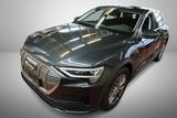 Audi e-tron 50 quattro 50 Basis Kamera/ACC/AHK/KeyLes - Audi e-tron aus 2020