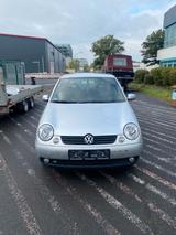 Volkswagen Lupo Rave mit Klima und TÜV 12-2026 - Volkswagen Lupo: 3 Türen