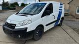 Peugeot Expert Hundefänger Diesel - Peugeot Expert von privat