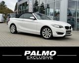 BMW Cabrio 220 i - BMW Gebrauchtwagen in Magdeburg