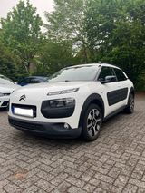 Citroën C4 Cactus Shine - Citroën C4 Cactus von privat